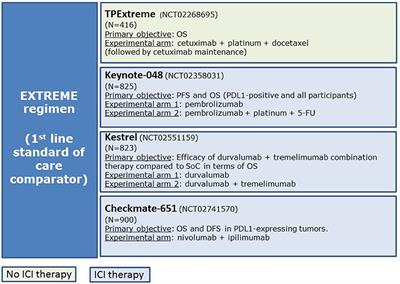 Frontiers | Cetuximab-Containing Combinations in Locally Advanced 